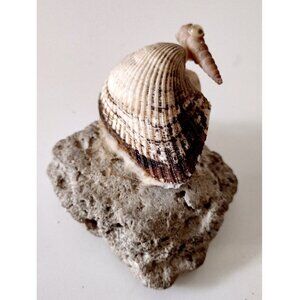 Vintage Shell Art Hand Crafted Pelican Bird On A Rock Figurine Beach Decor
